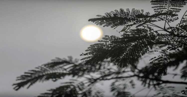 কুয়াশা মোড়ানো সূর্য